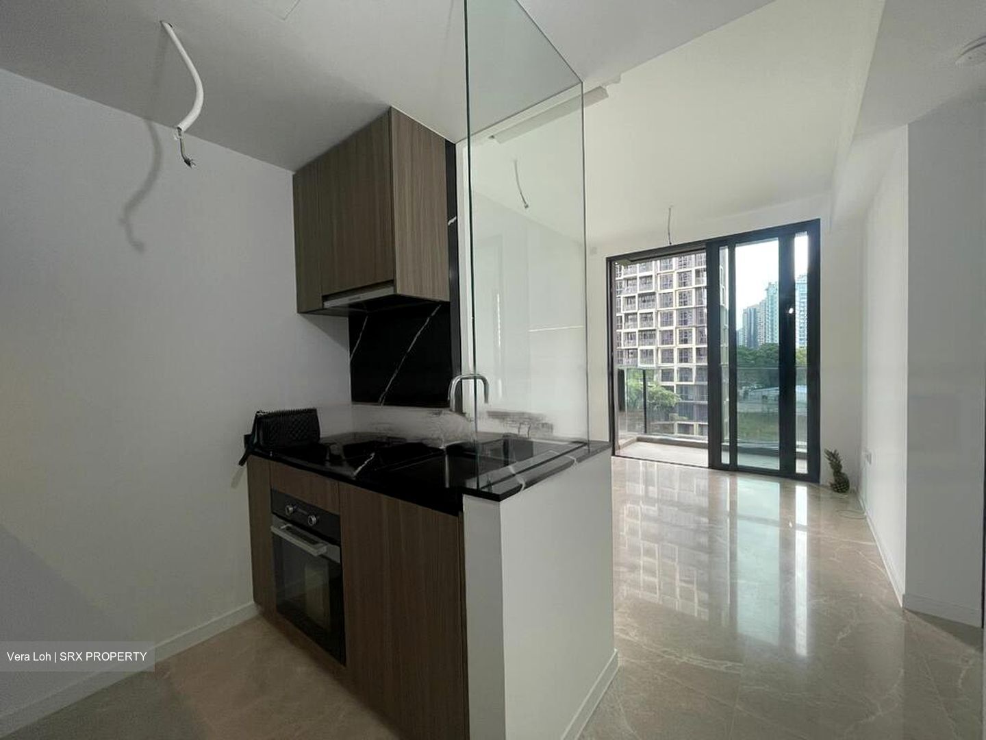 Irwell Hill Residences (D9), Apartment #457904341